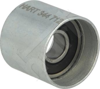 Hart 344 712 - Poulie renvoi / transmission, courroie de distribution droxauto.com