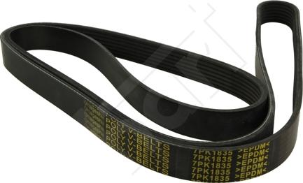 Hart 369 012 - Courroie trapézoïdale à nervures droxauto.com