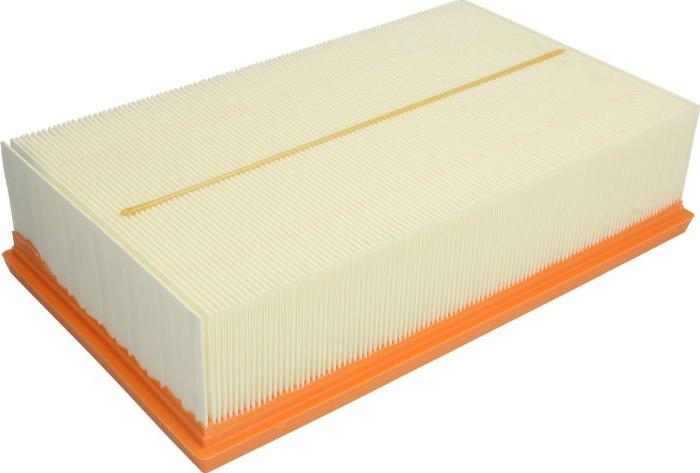 Hengst Filter E1090L - Filtre à air droxauto.com