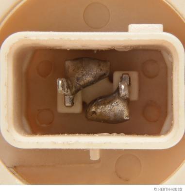 Herth+Buss Elparts 89901424 - Ampoule, feu clignotant droxauto.com