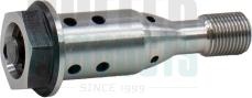 Hoffer 80915014 - Valve de commande, réglage d'arbres à came droxauto.com