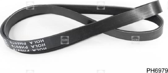 Hola PH6979 - Courroie trapézoïdale à nervures droxauto.com