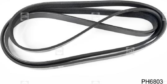 Hola PH6803 - Courroie trapézoïdale à nervures droxauto.com