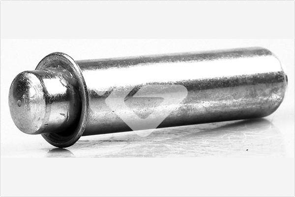 Hutchinson HTG 421 - Poulie-tendeur, courroie de distribution droxauto.com