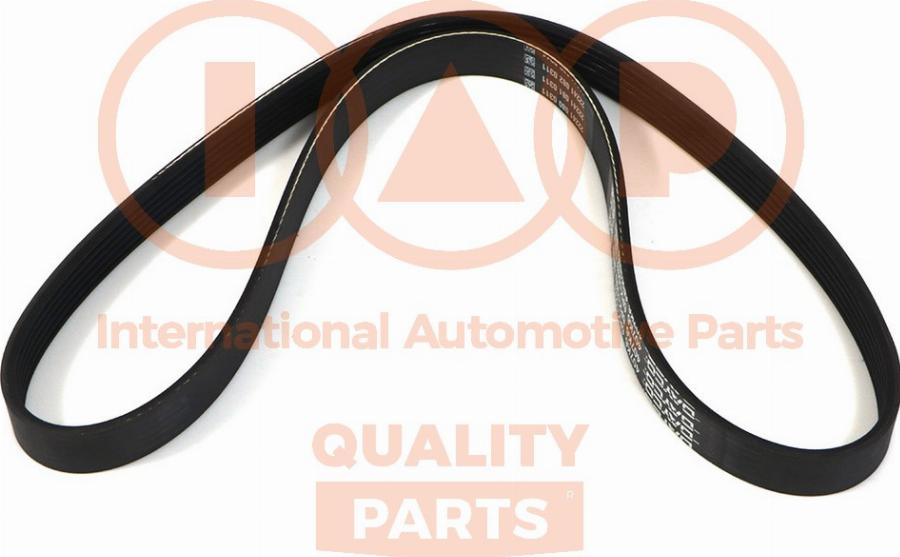 IAP QUALITY PARTS 140-50040 - Courroie trapézoïdale à nervures droxauto.com