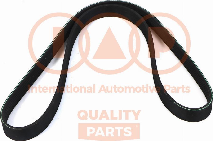 IAP QUALITY PARTS 140-50041 - Courroie trapézoïdale à nervures droxauto.com