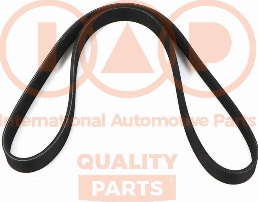IAP QUALITY PARTS 140-50043 - Courroie trapézoïdale à nervures droxauto.com