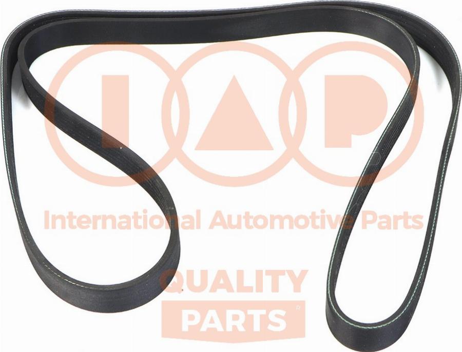 IAP QUALITY PARTS 140-51031 - Courroie trapézoïdale à nervures droxauto.com