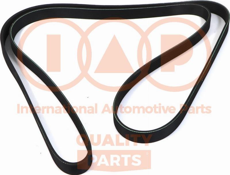 IAP QUALITY PARTS 140-51033 - Courroie trapézoïdale à nervures droxauto.com