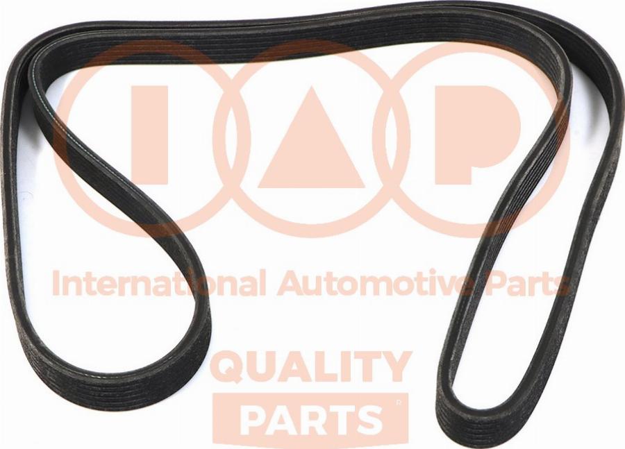 IAP QUALITY PARTS 140-51032 - Courroie trapézoïdale à nervures droxauto.com
