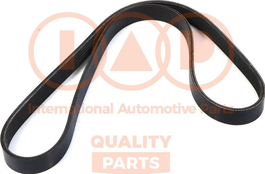 IAP QUALITY PARTS 140-52031 - Courroie trapézoïdale à nervures droxauto.com