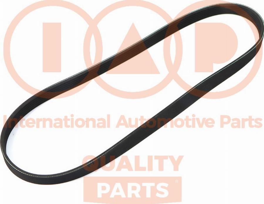 IAP QUALITY PARTS 140-08032 - Courroie trapézoïdale à nervures droxauto.com