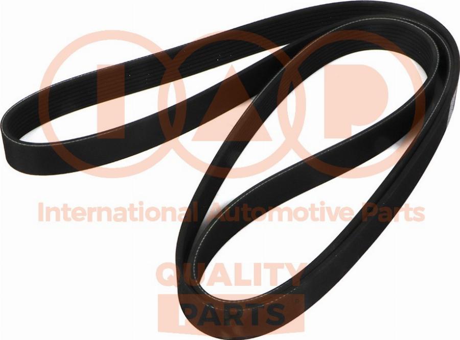 IAP QUALITY PARTS 140-14081 - Courroie trapézoïdale à nervures droxauto.com