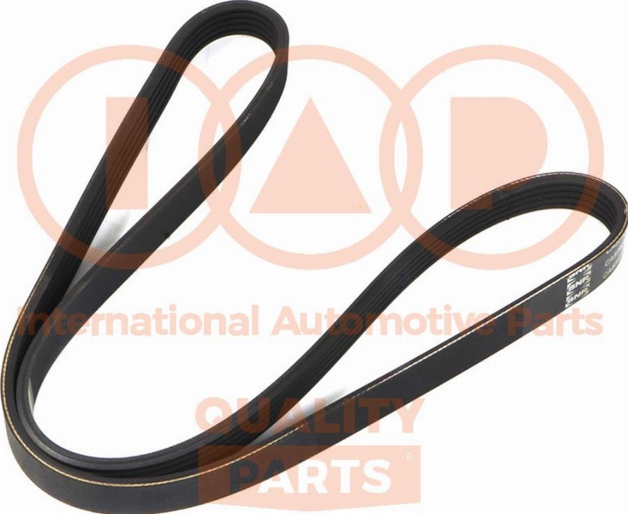IAP QUALITY PARTS 140-10080 - Courroie trapézoïdale à nervures droxauto.com