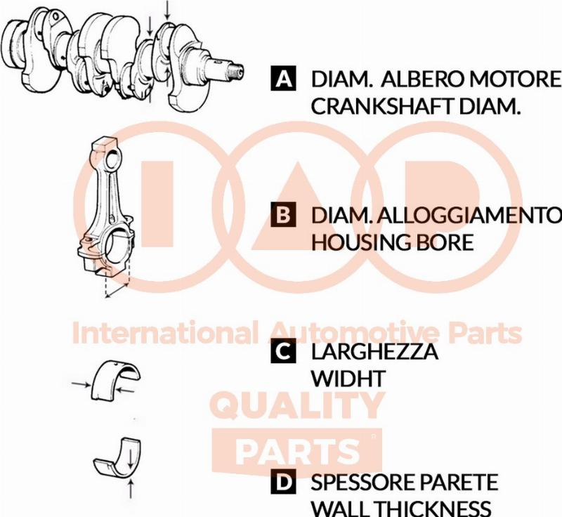 IAP QUALITY PARTS 107-54010 - Coussinet de palier, bielle droxauto.com