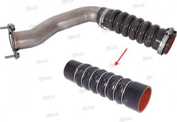 Ibras 21711 - Gaine de suralimentation droxauto.com