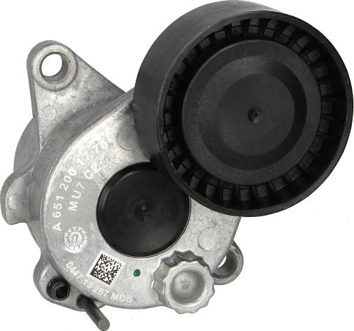 INA 534 0336 10 - Tendeur de courroie, courroie trapézoïdale à nervures droxauto.com