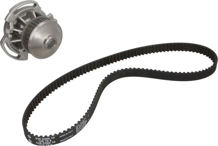 INA 530 0586 30 - Pompe à eau + kit de courroie de distribution droxauto.com