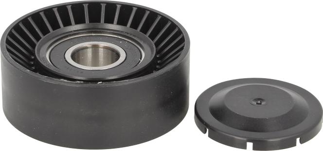 INA 531 0891 10 - Poulie renvoi / transmission, courroie trapézoïdale à nervures droxauto.com