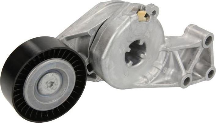 INA 533 0076 30 - Tendeur de courroie, courroie trapézoïdale à nervures droxauto.com