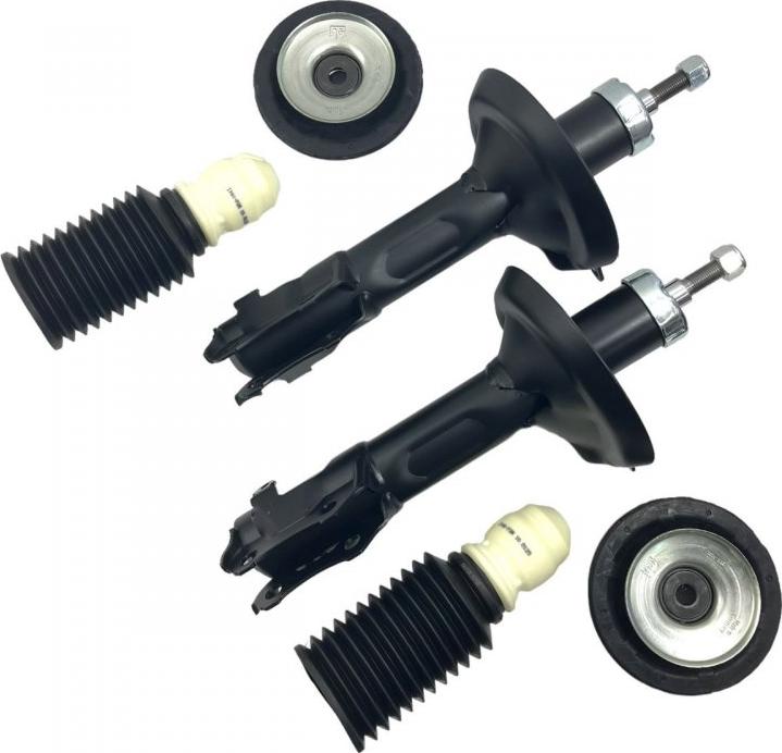 INA-FOR INF10.0010KIT - Amortisseur droxauto.com