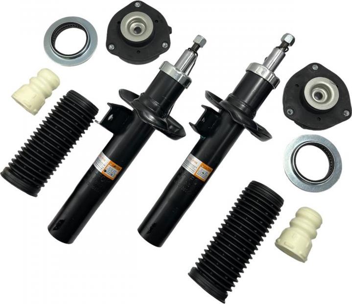 INA-FOR INF10.0035KIT - Amortisseur droxauto.com