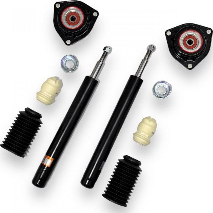 INA-FOR INF70.0003KIT - Amortisseur droxauto.com