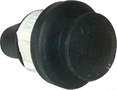 JP Group 1196500300 - Interrupteur, contacteur de porte droxauto.com