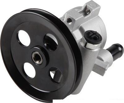 JP Group 1245100300 - Pompe hydraulique, direction droxauto.com