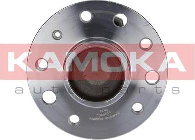 Kamoka 5500078 - Kit de roulements de roue droxauto.com