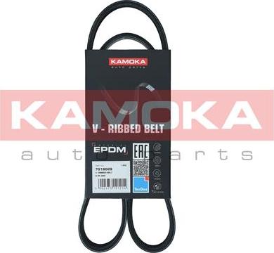 Kamoka 7016029 - Courroie trapézoïdale à nervures droxauto.com