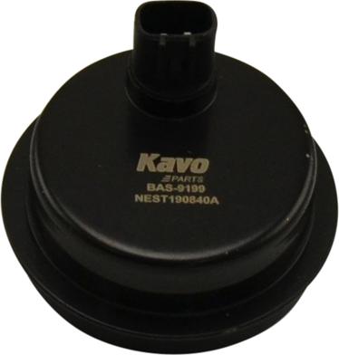 Kavo Parts BAS-9199 - Capteur, vitesse de roue droxauto.com