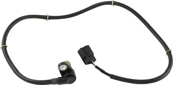 Kavo Parts BAS-5546 - Capteur, vitesse de roue droxauto.com