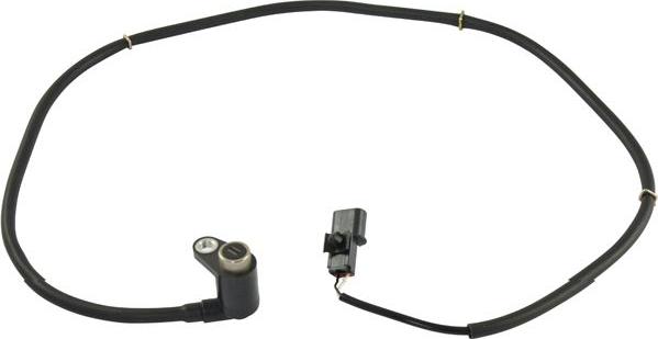 Kavo Parts BAS-5548 - Capteur, vitesse de roue droxauto.com