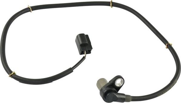 Kavo Parts BAS-5547 - Capteur, vitesse de roue droxauto.com