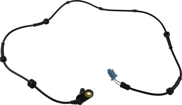 Kavo Parts BAS-6569 - Capteur, vitesse de roue droxauto.com