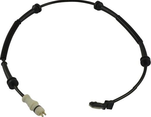 Kavo Parts BAS-6639 - Capteur, vitesse de roue droxauto.com