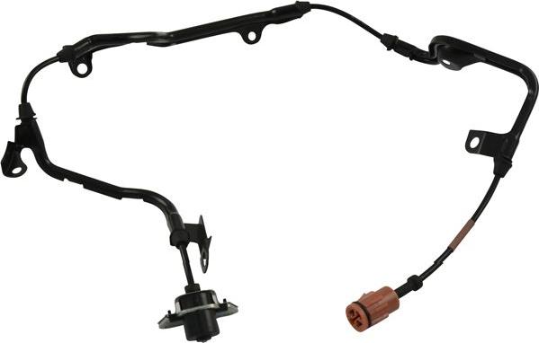 Kavo Parts BAS-2096 - Capteur, vitesse de roue droxauto.com