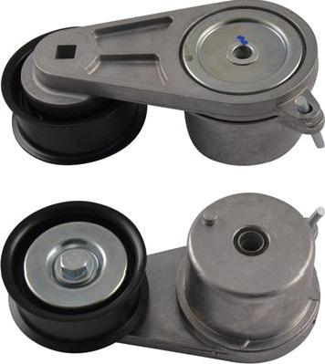 Kavo Parts DTP-6551 - Poulie renvoi / transmission, courroie trapézoïdale à nervures droxauto.com