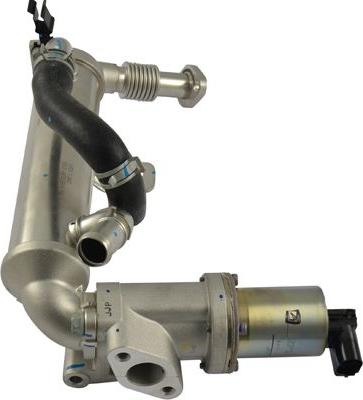 Kavo Parts EEG-3031 - Vanne EGR droxauto.com