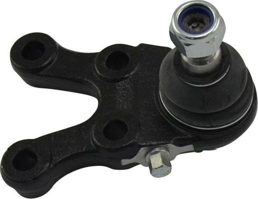 Kavo Parts SBJ-5506 - Rotule de suspension droxauto.com