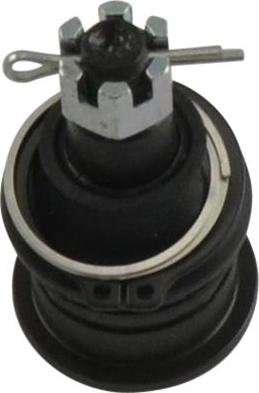 Kavo Parts SBJ-2003 - Rotule de suspension droxauto.com