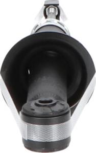 Kavo Parts SSA-5544 - Amortisseur droxauto.com