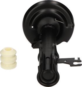 Kavo Parts SSA-10576 - Amortisseur droxauto.com