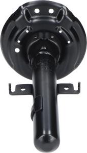 Kavo Parts SSA-10861 - Amortisseur droxauto.com