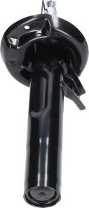 Kavo Parts SSA-10808 - Amortisseur droxauto.com