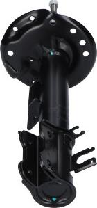 Kavo Parts SSA-11266 - Amortisseur droxauto.com