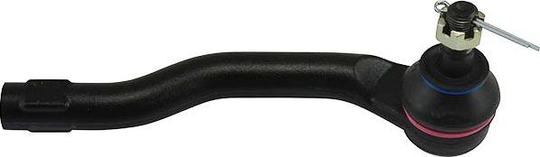 Kavo Parts STE-4544 - Rotule de barre de connexion droxauto.com