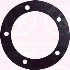 Klokkerholm 50990096 - Joint d'étanchéité, palpeur de réservoir droxauto.com