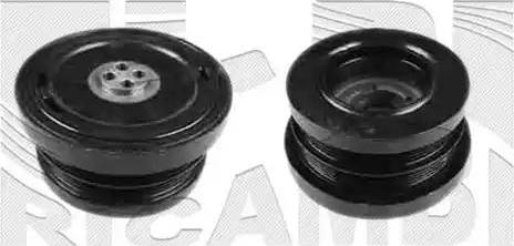 Wilmink Group WG1152598 - Poulie, vilebrequin droxauto.com